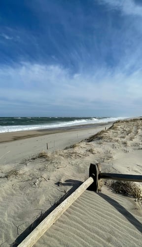 Wide sandy beach with dunes and ocean waves under a blue sky at Nauset Beach