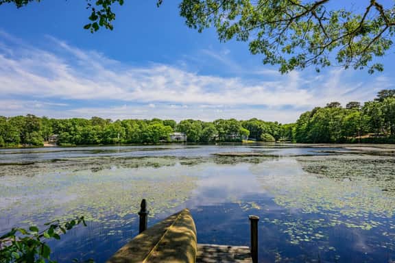 Lake Front Paradise with Grill and Fire Pit - Image 3
